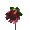 Small Red Flower